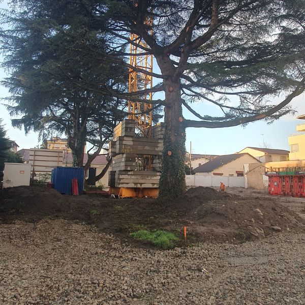 residence_neuve_deux_cedres_dax