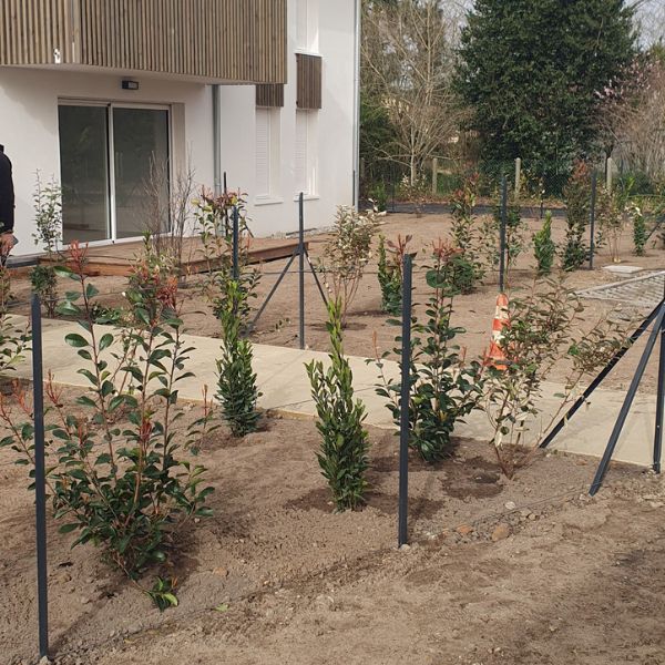 acheter_immobilier_neuf_benesse