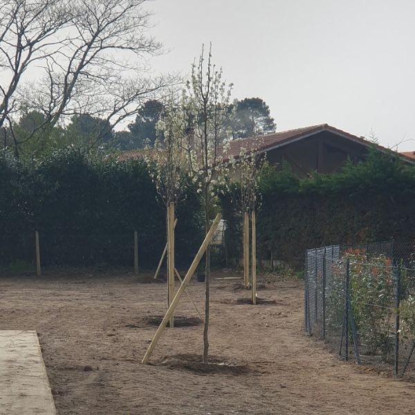 devenir_proprietaire_benesse