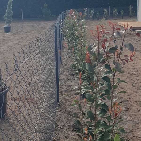 logement_neuf_disponible_capbreton