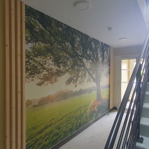 acheter_logement_neuf_capbreton